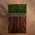 Cheese Burl, Black Palm, and Wenge Combination Knife Scales - Segmented - s-194